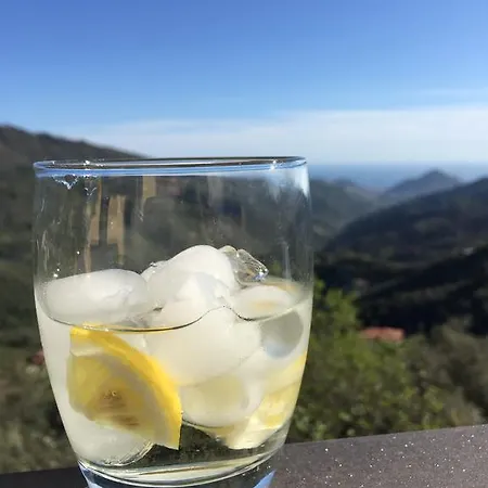 Hotel La Riana